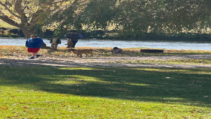 Pet friendly at Lost Trail Resort